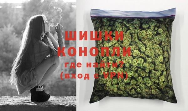 стаф Аркадак