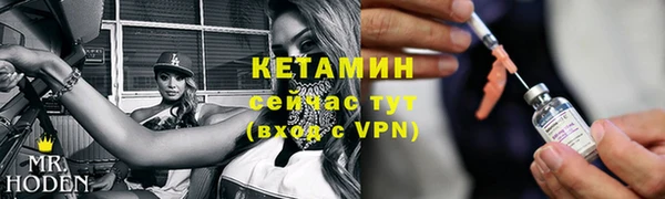 стаф Аркадак