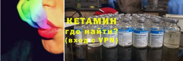 стаф Аркадак