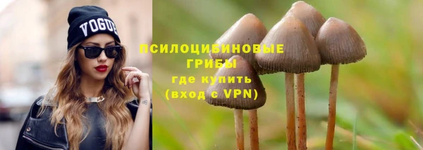 экстази Арсеньев