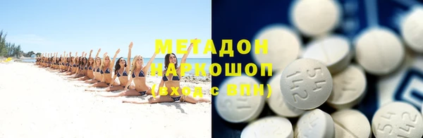 стаф Аркадак