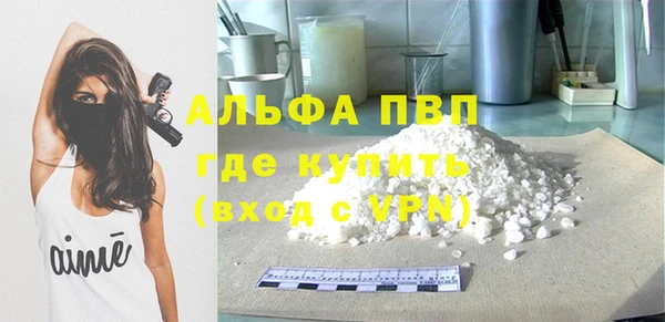 стаф Аркадак