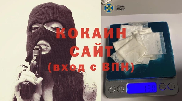шишки Армянск